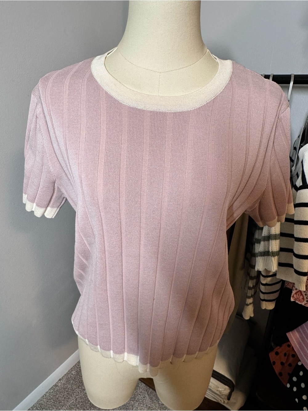 HYFVE Blush Pink Ribbed Short Sleeve Top with Cream Trim
